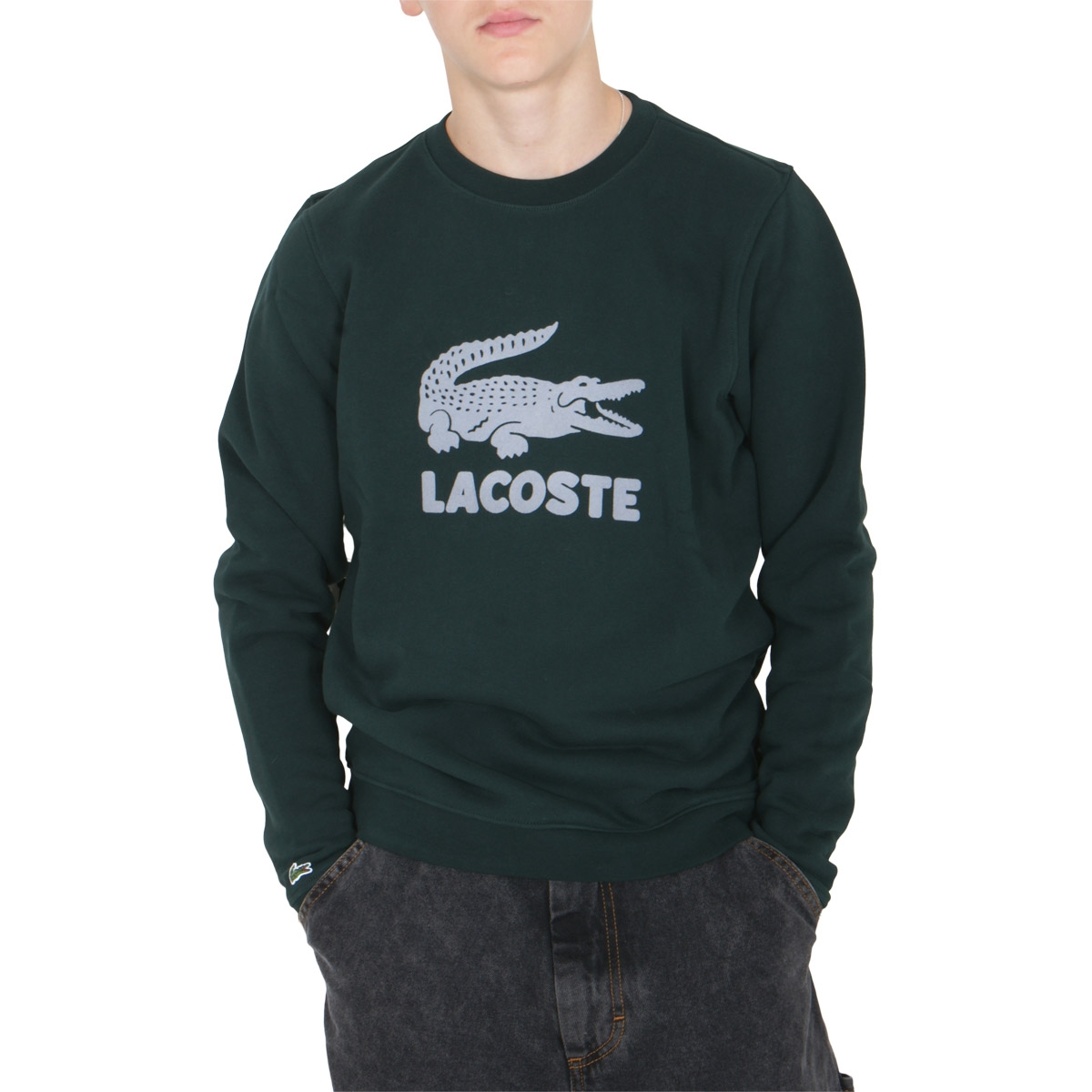 lacoste sweatshirt junior