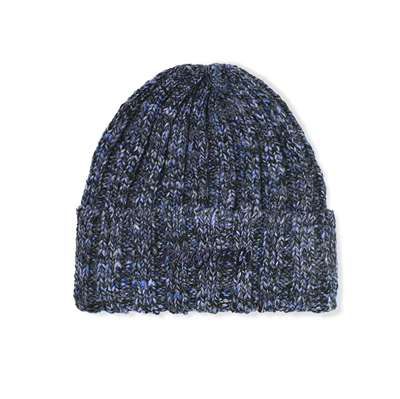 Polar Skate Co Beanie Ali Blue