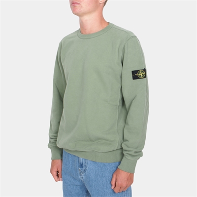 Stone Island Jr. Sweatshirt Sage