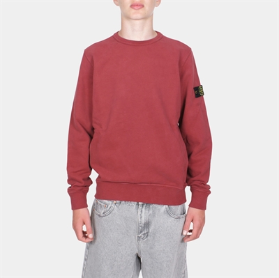 Stone Island Jr. Sweatshirt Burgundy